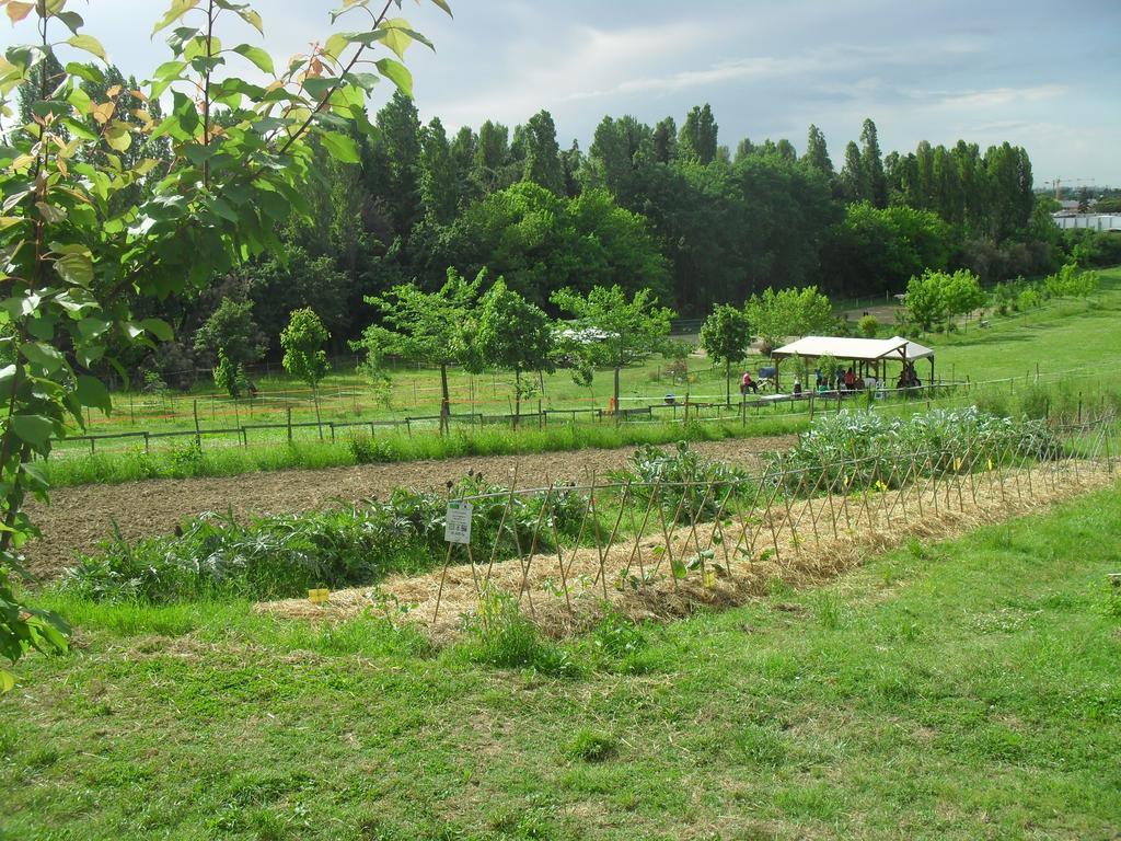 רימיני Agriturismo Case Mori מראה חיצוני תמונה